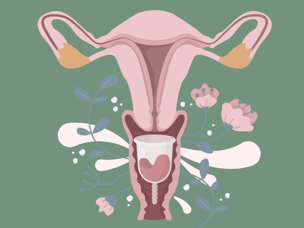 Bild Menstruationstasse Position