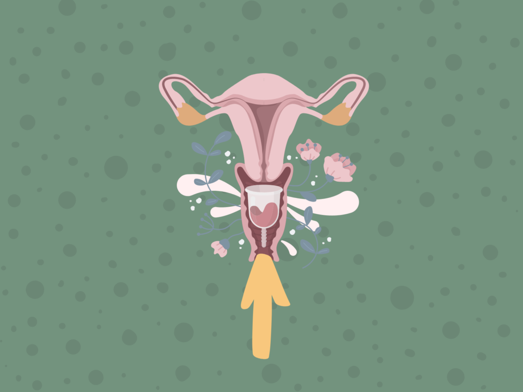 Featured Image Menstruationstasse einführen