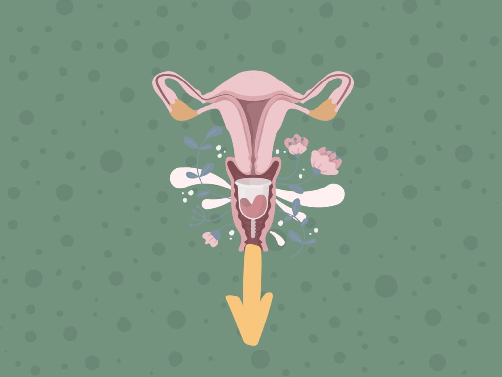 Featured Image Menstruationstasse entfernen