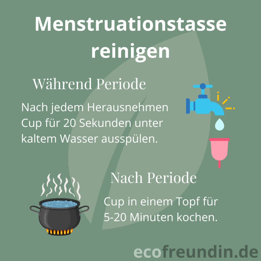 Infografik Menstruationstasse reinigen