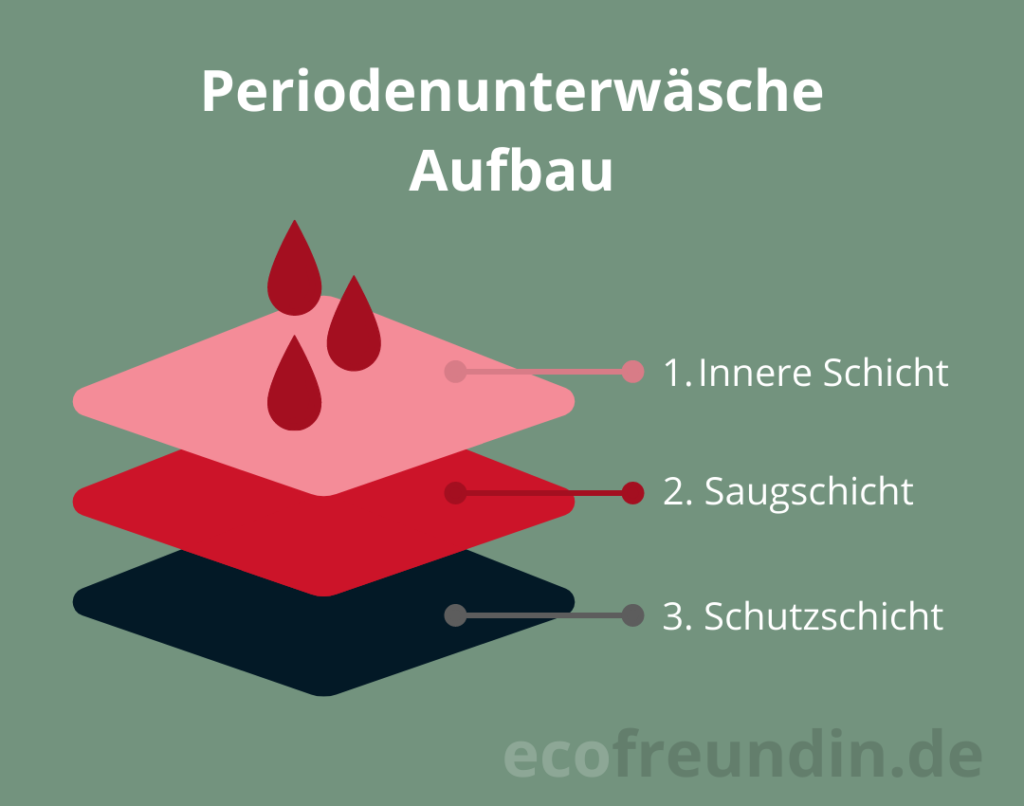Infografik Periodenunterwäsche Aufbau